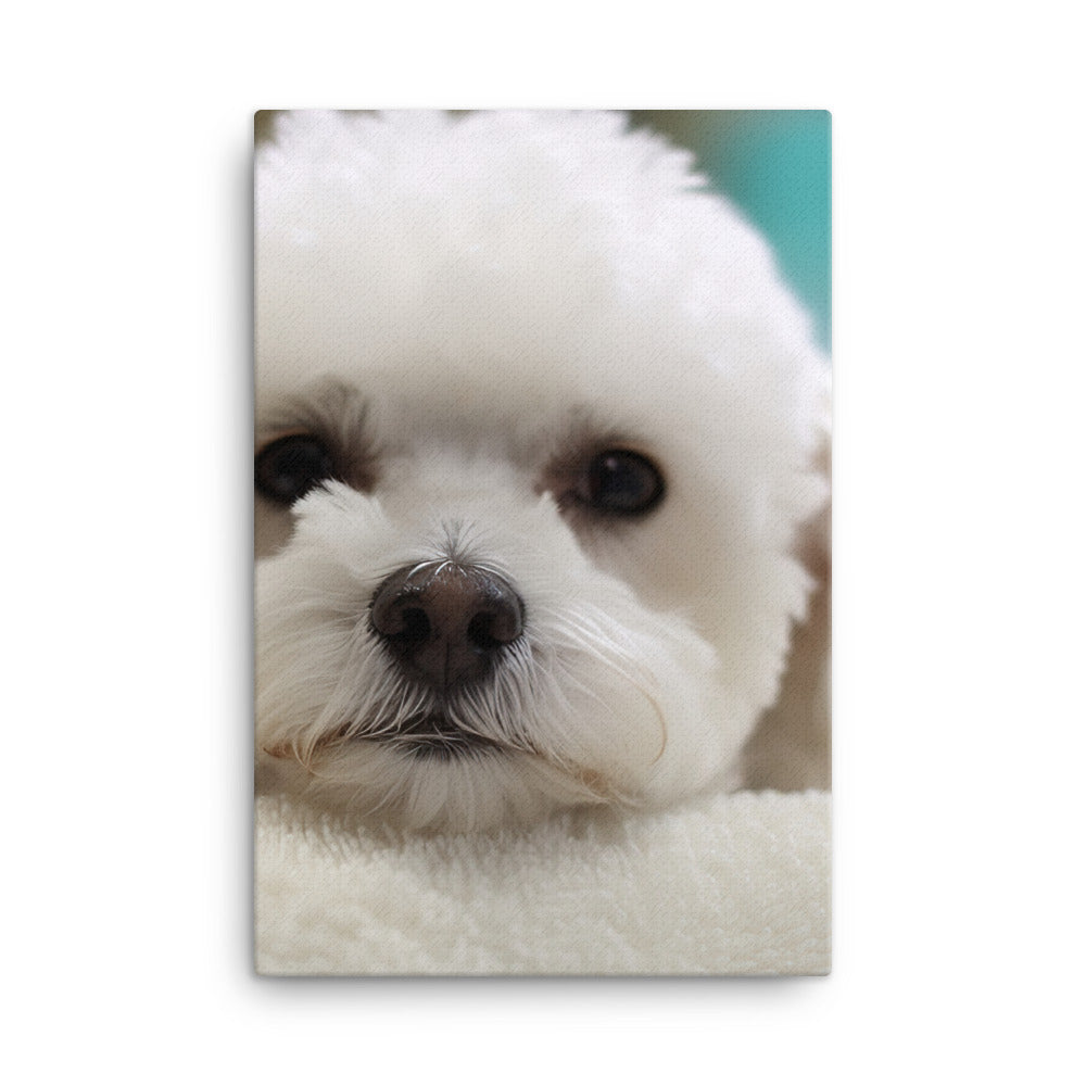 Bichon Frise in a Spa Canvas - PosterfyAI.com