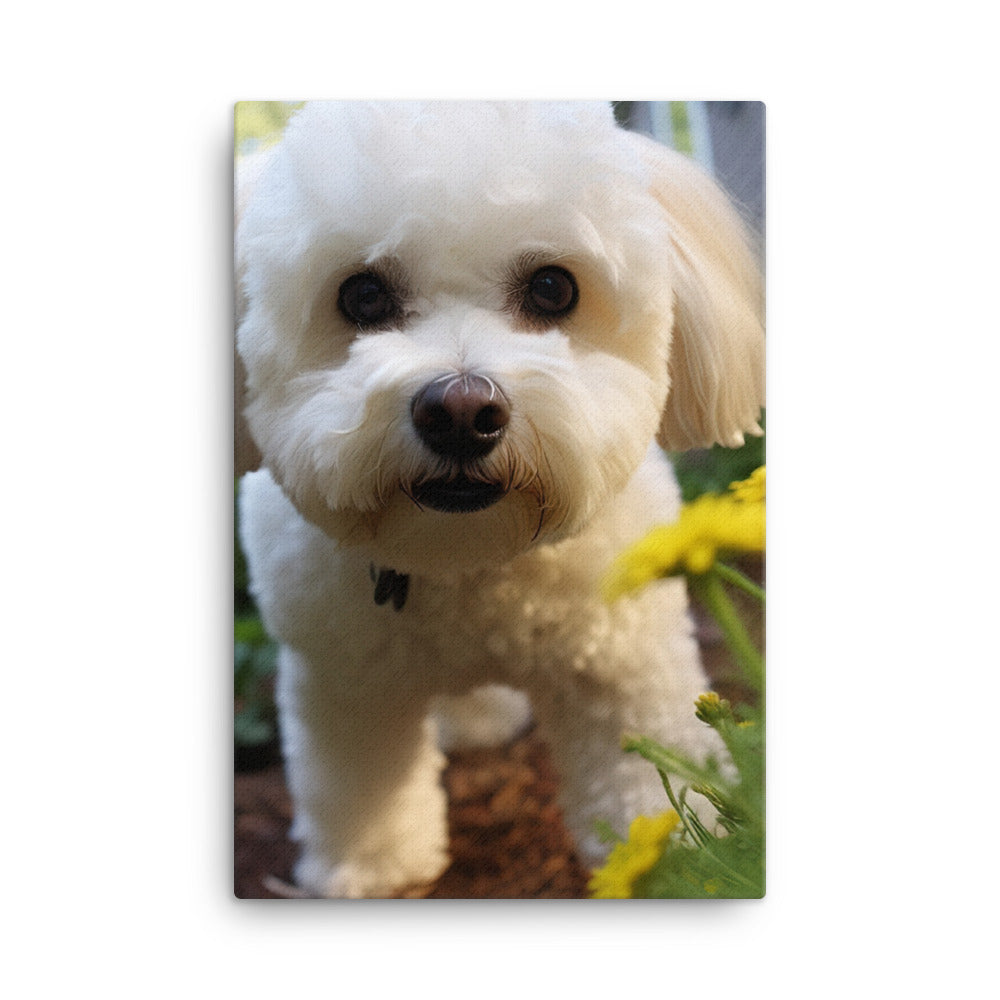 Bichon Frise in a Garden Canvas - PosterfyAI.com