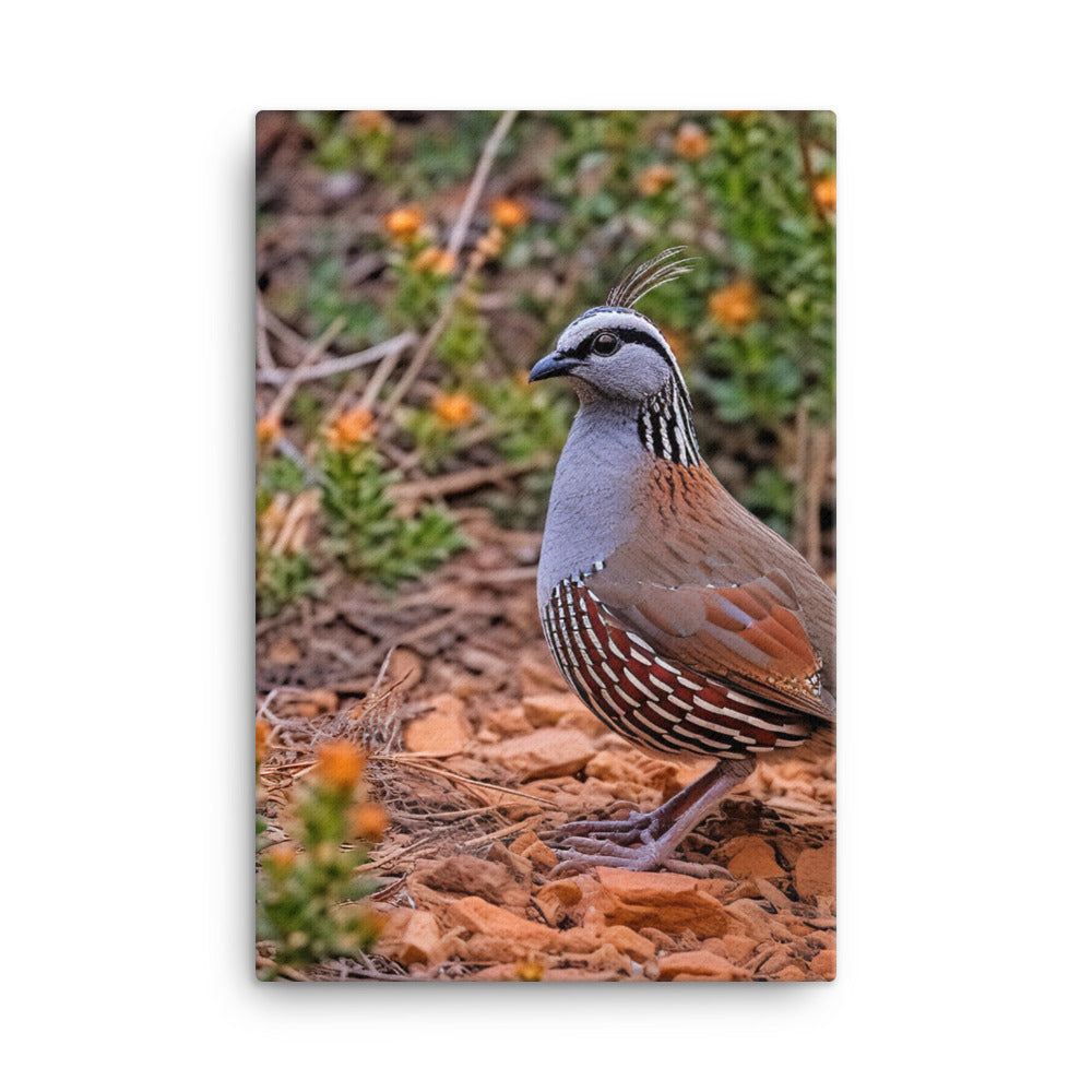 Quail Canvas - PosterfyAI.com