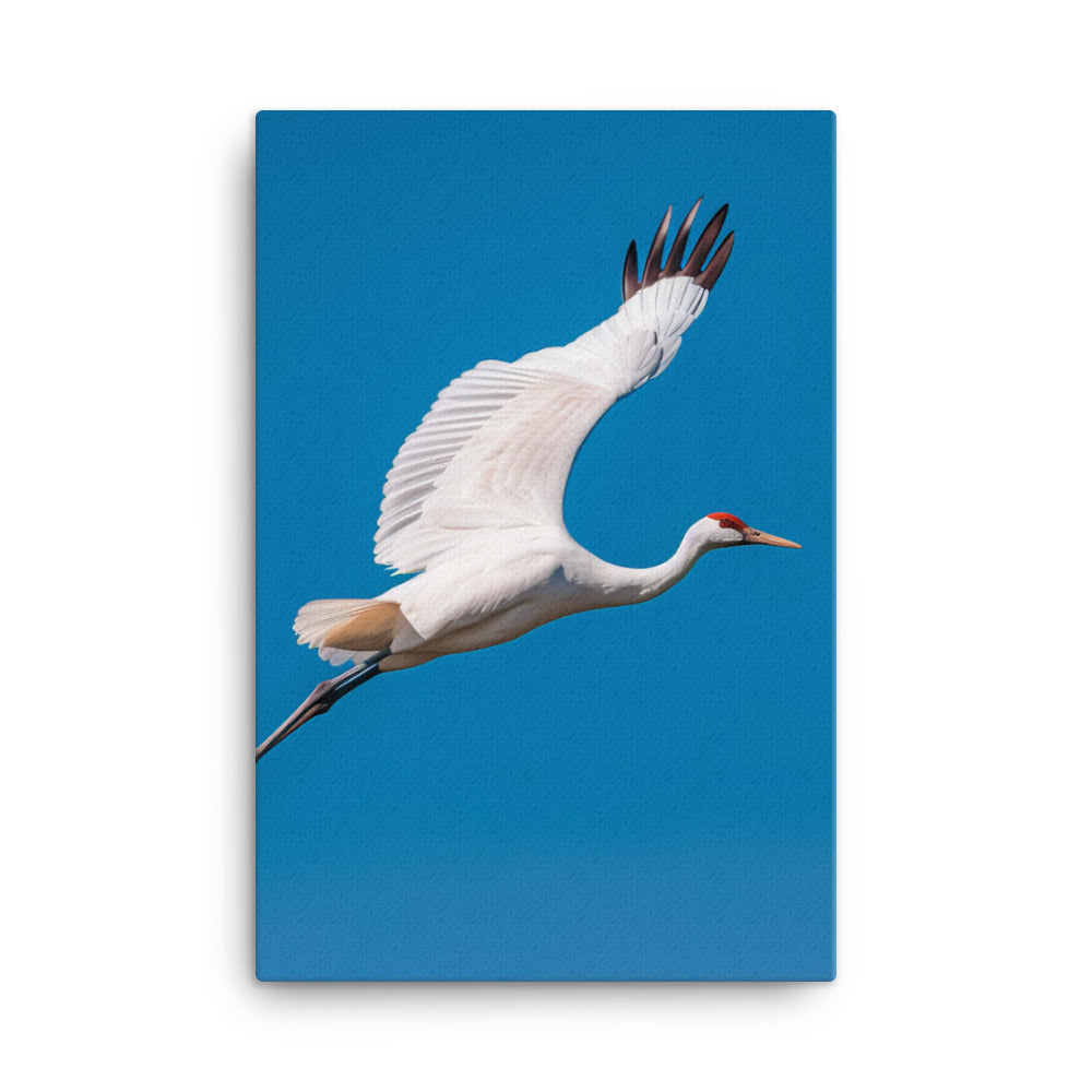 Crane Canvas - PosterfyAI.com