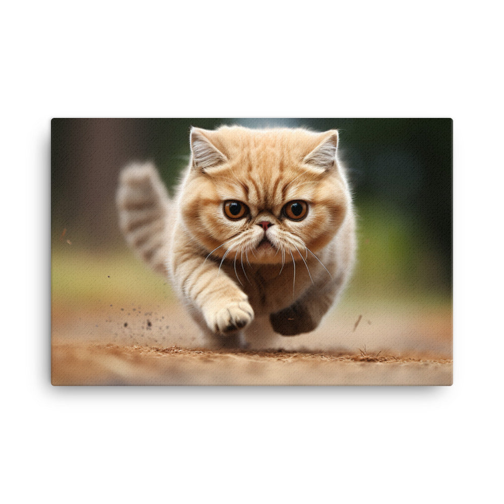 Exotic Shorthair Canvas - PosterfyAI.com