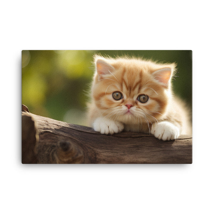 Exotic Shorthair Canvas - PosterfyAI.com