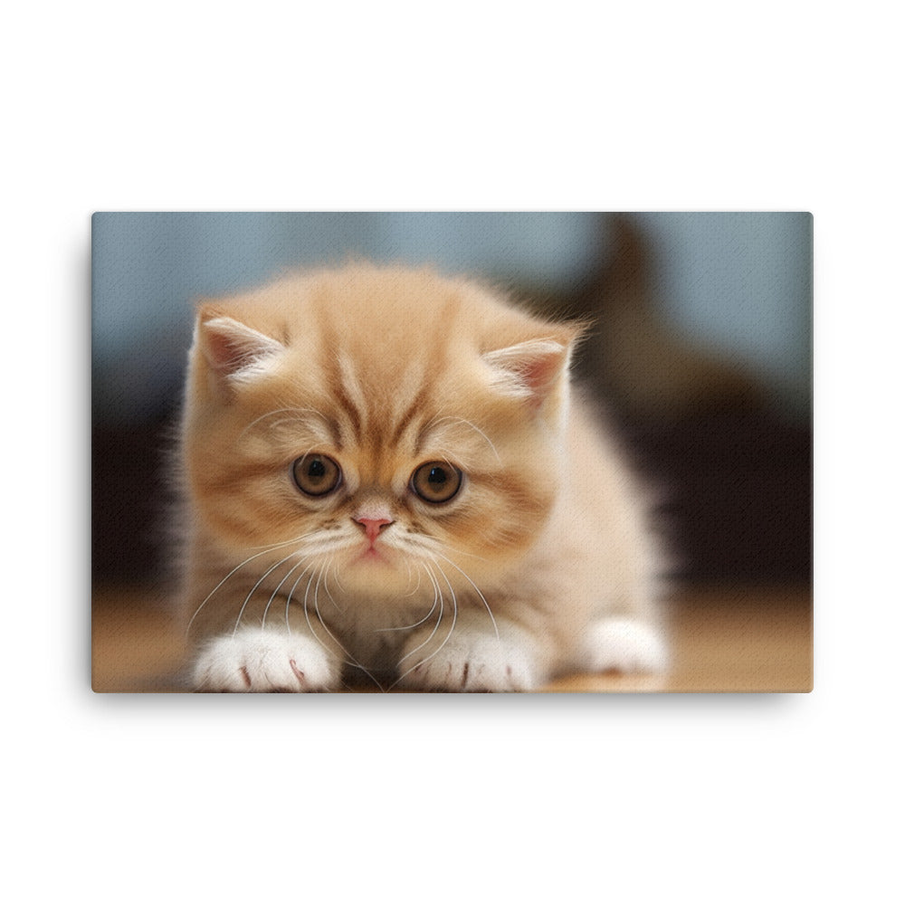 Exotic Shorthair Canvas - PosterfyAI.com