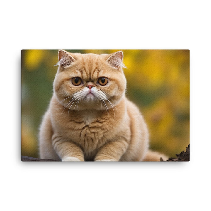 Exotic Shorthair Canvas - PosterfyAI.com