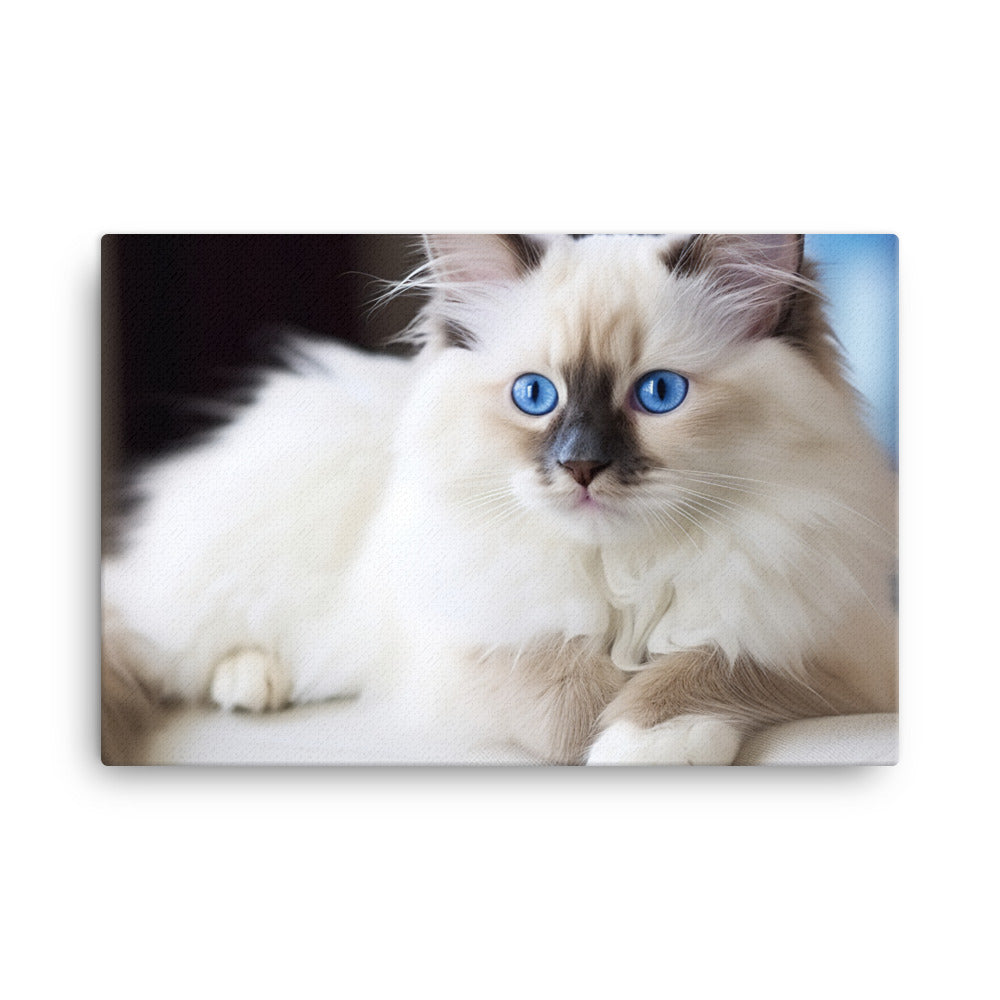 Ragdoll Canvas - PosterfyAI.com