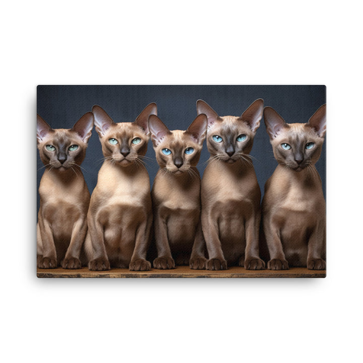 Tonkinese Canvas - PosterfyAI.com