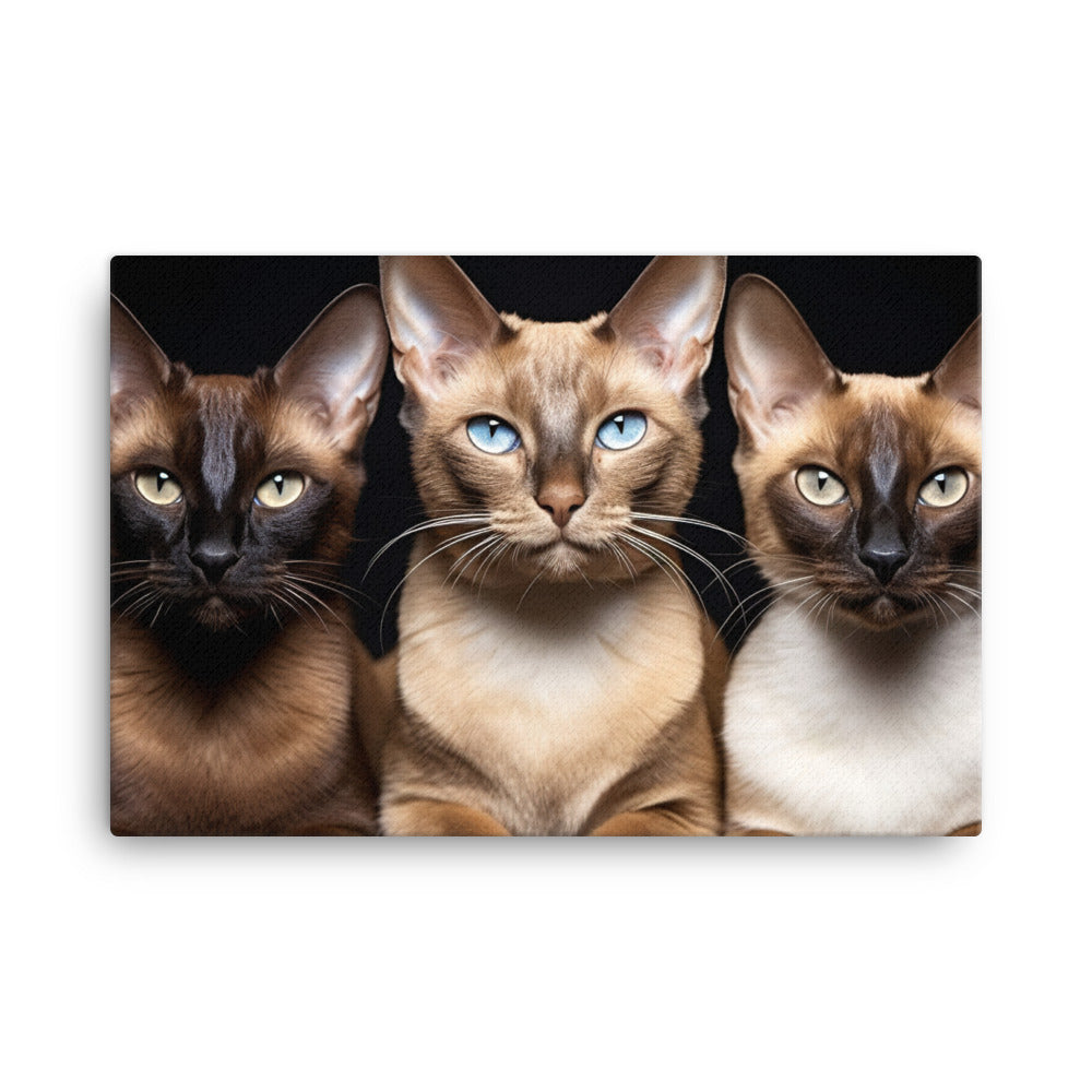 Tonkinese Canvas - PosterfyAI.com