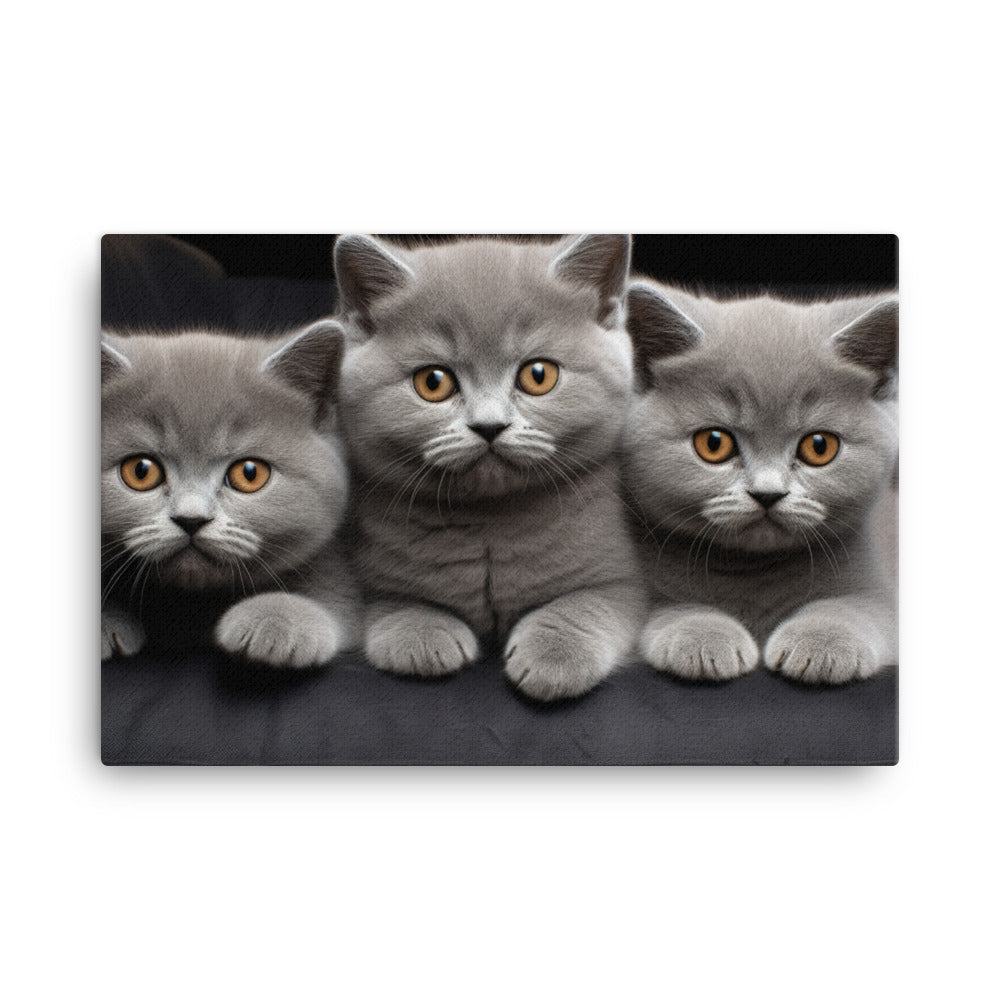 British Shorthair Canvas - PosterfyAI.com