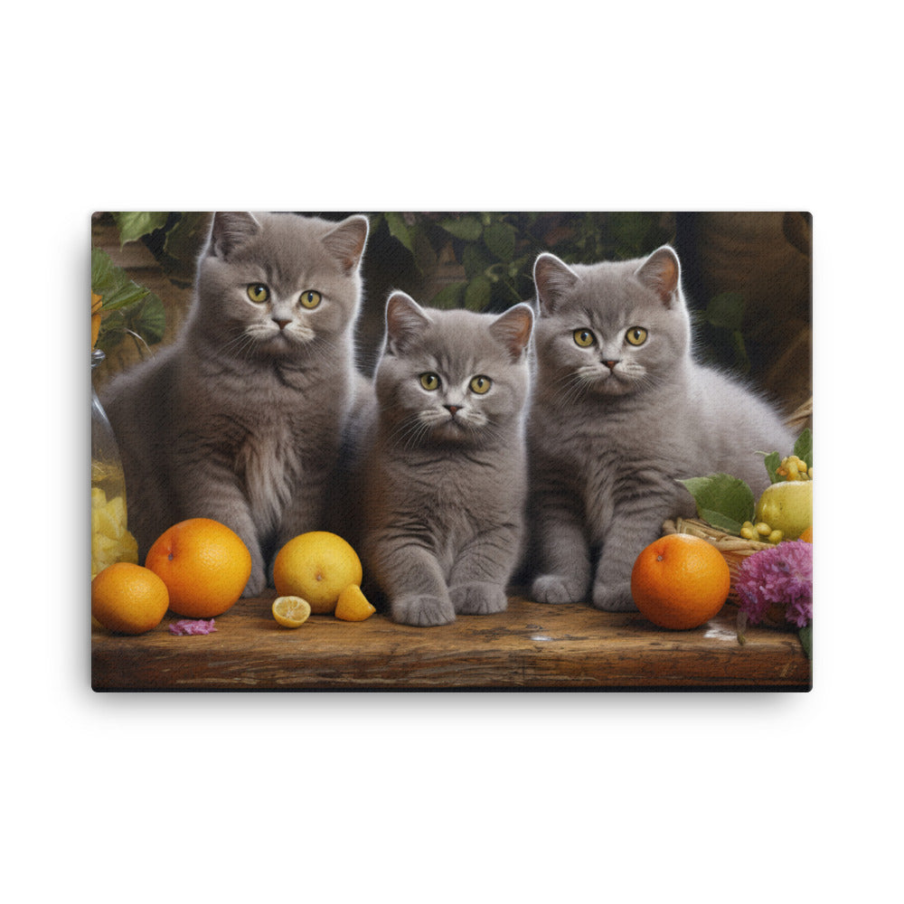 British Shorthair Canvas - PosterfyAI.com