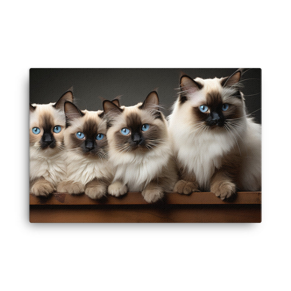 Birman Canvas - PosterfyAI.com