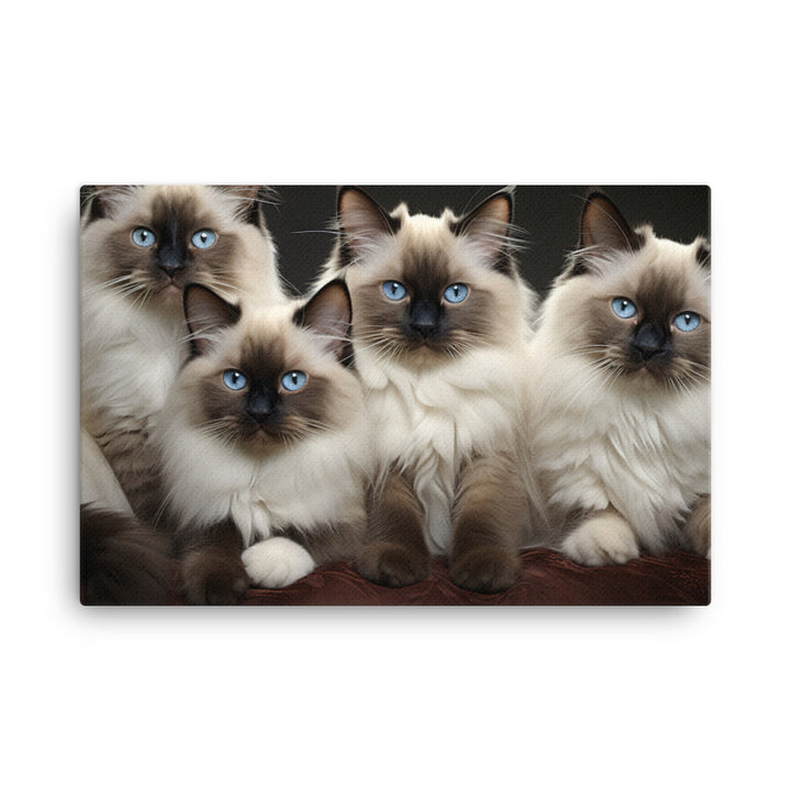 Birman Canvas - PosterfyAI.com