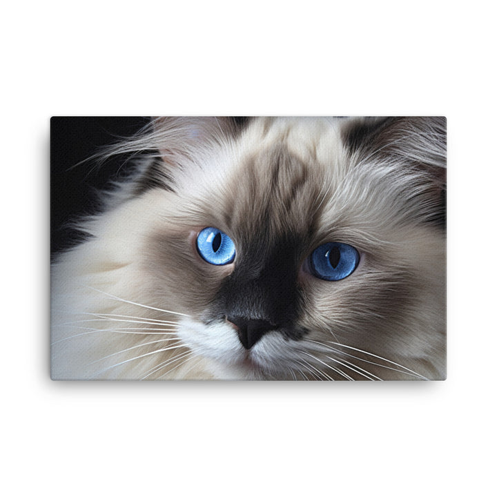 Birman Canvas - PosterfyAI.com