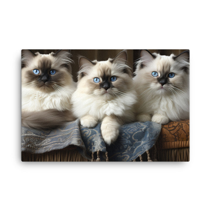 Birman Canvas - PosterfyAI.com