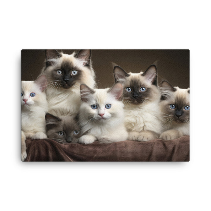 Birman Canvas - PosterfyAI.com