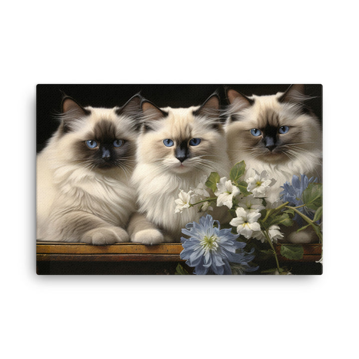 Birman Canvas - PosterfyAI.com