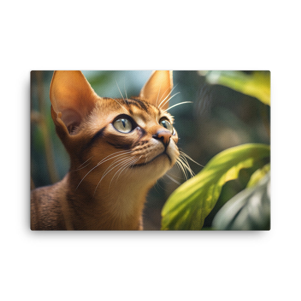 Abyssinian Canvas - PosterfyAI.com