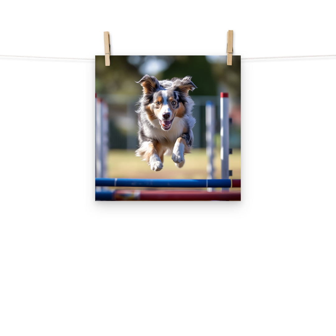 Australian Shepherd Photo paper poster - PosterfyAI.com