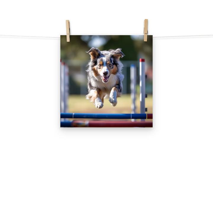 Australian Shepherd Photo paper poster - PosterfyAI.com