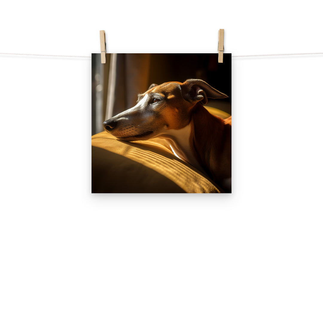 Greyhound Photo paper poster - PosterfyAI.com