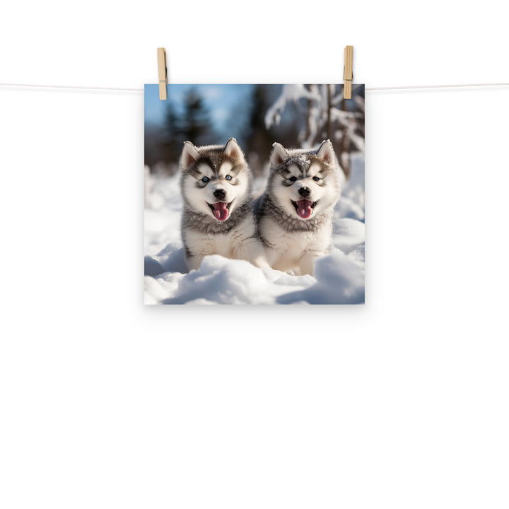 Alaskan Malamute Photo paper poster - PosterfyAI.com