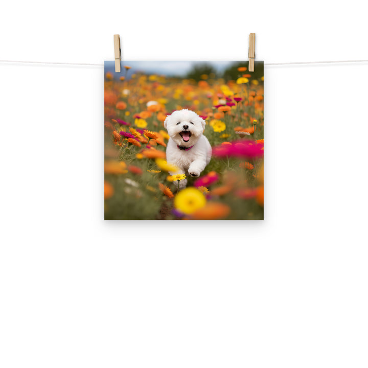 Bichon Frise Photo paper poster - PosterfyAI.com