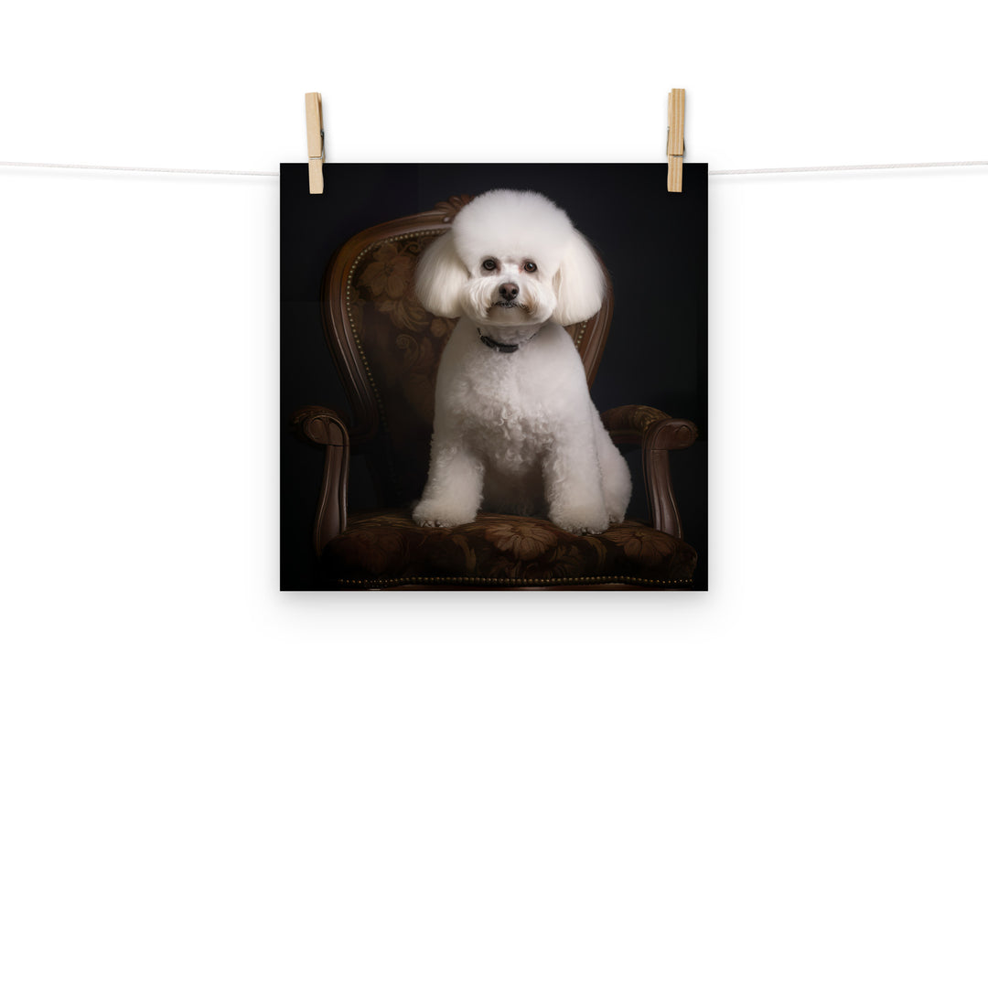 Bichon Frise Photo paper poster - PosterfyAI.com