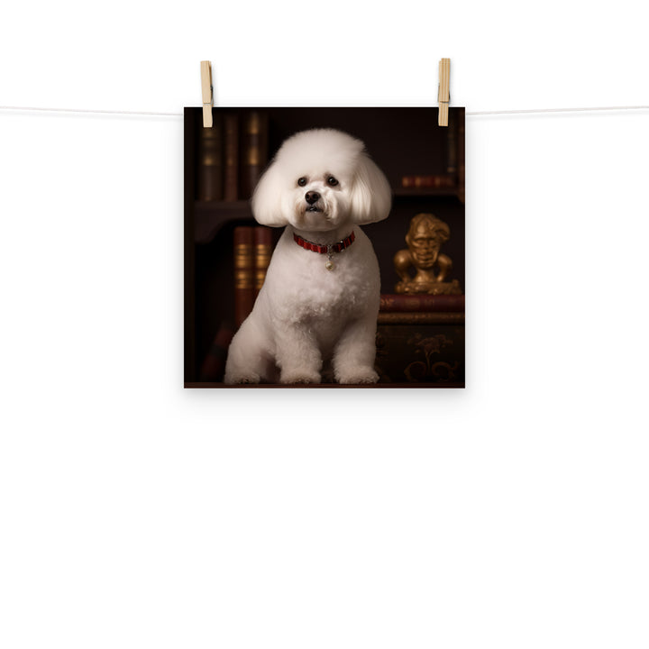 Bichon Frise Photo paper poster - PosterfyAI.com