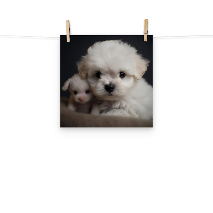 Bichon Frise Photo paper poster - PosterfyAI.com