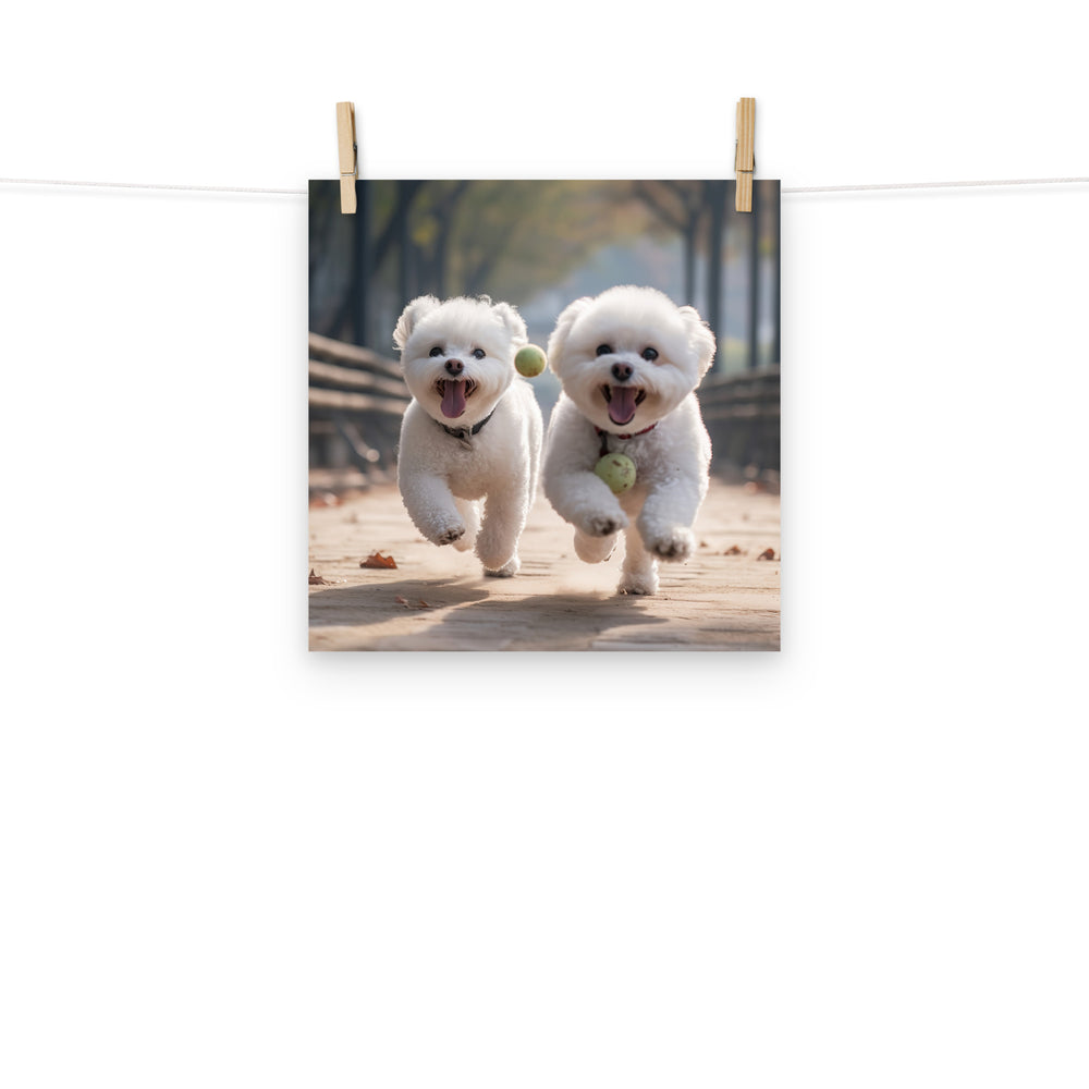 Bichon Frise Photo paper poster - PosterfyAI.com