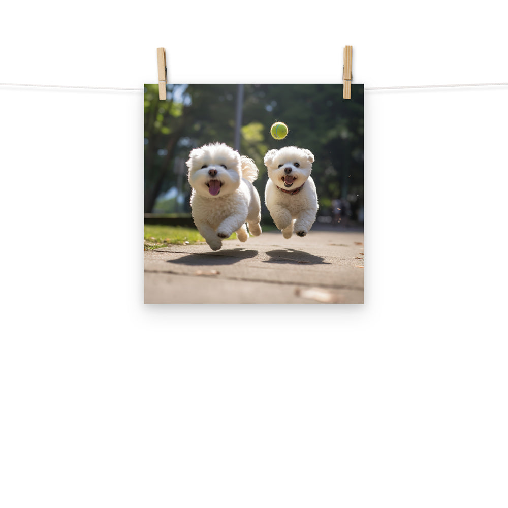 Bichon Frise Photo paper poster - PosterfyAI.com