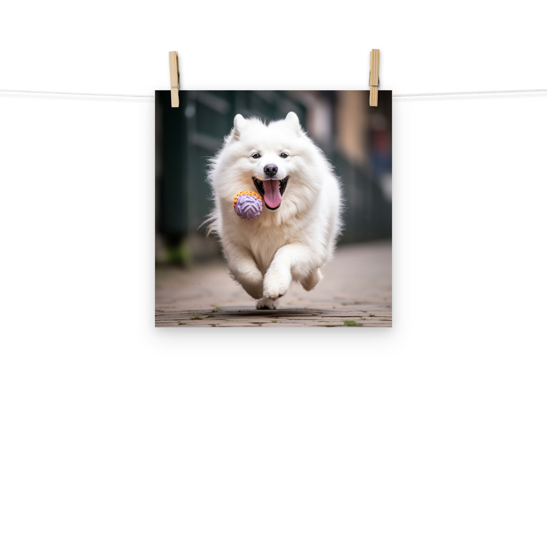 Samoyed Photo paper poster - PosterfyAI.com