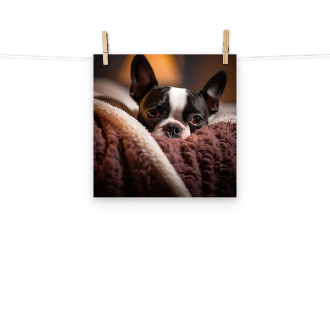 Boston Terrier Photo paper poster - PosterfyAI.com