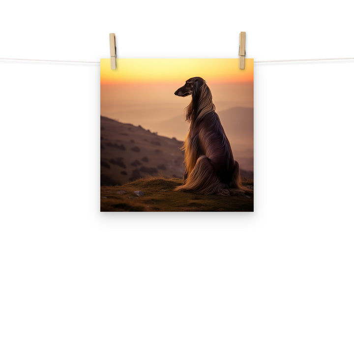 Afghan Hound Photo paper poster - PosterfyAI.com
