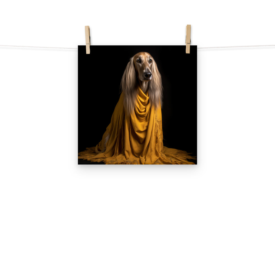 Afghan Hound Photo paper poster - PosterfyAI.com