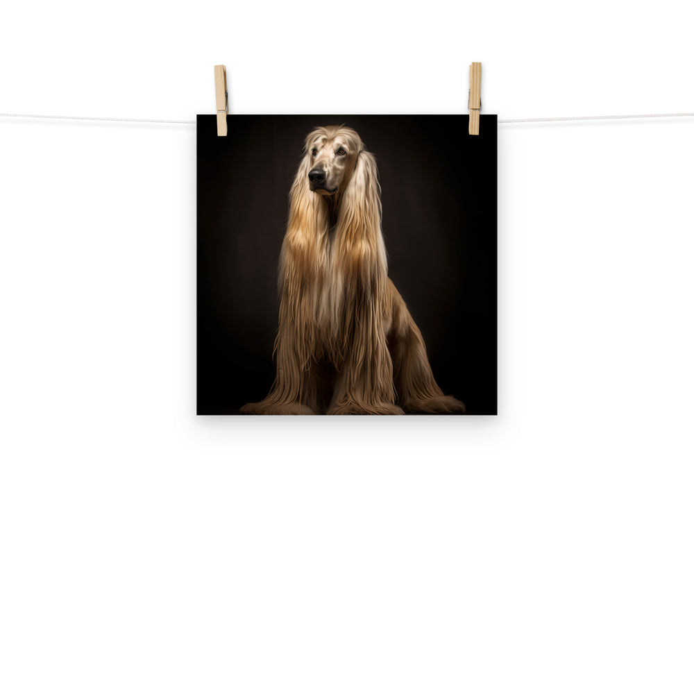 Afghan Hound Photo paper poster - PosterfyAI.com