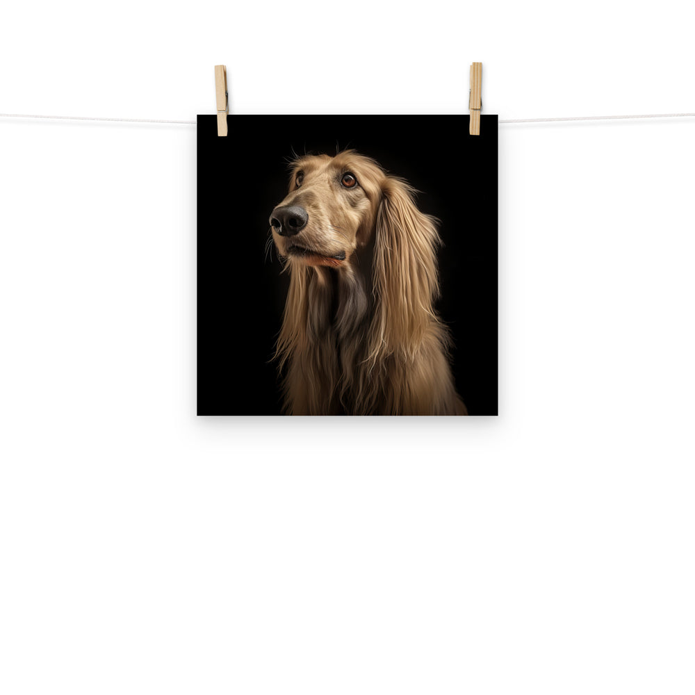 Afghan Hound Photo paper poster - PosterfyAI.com