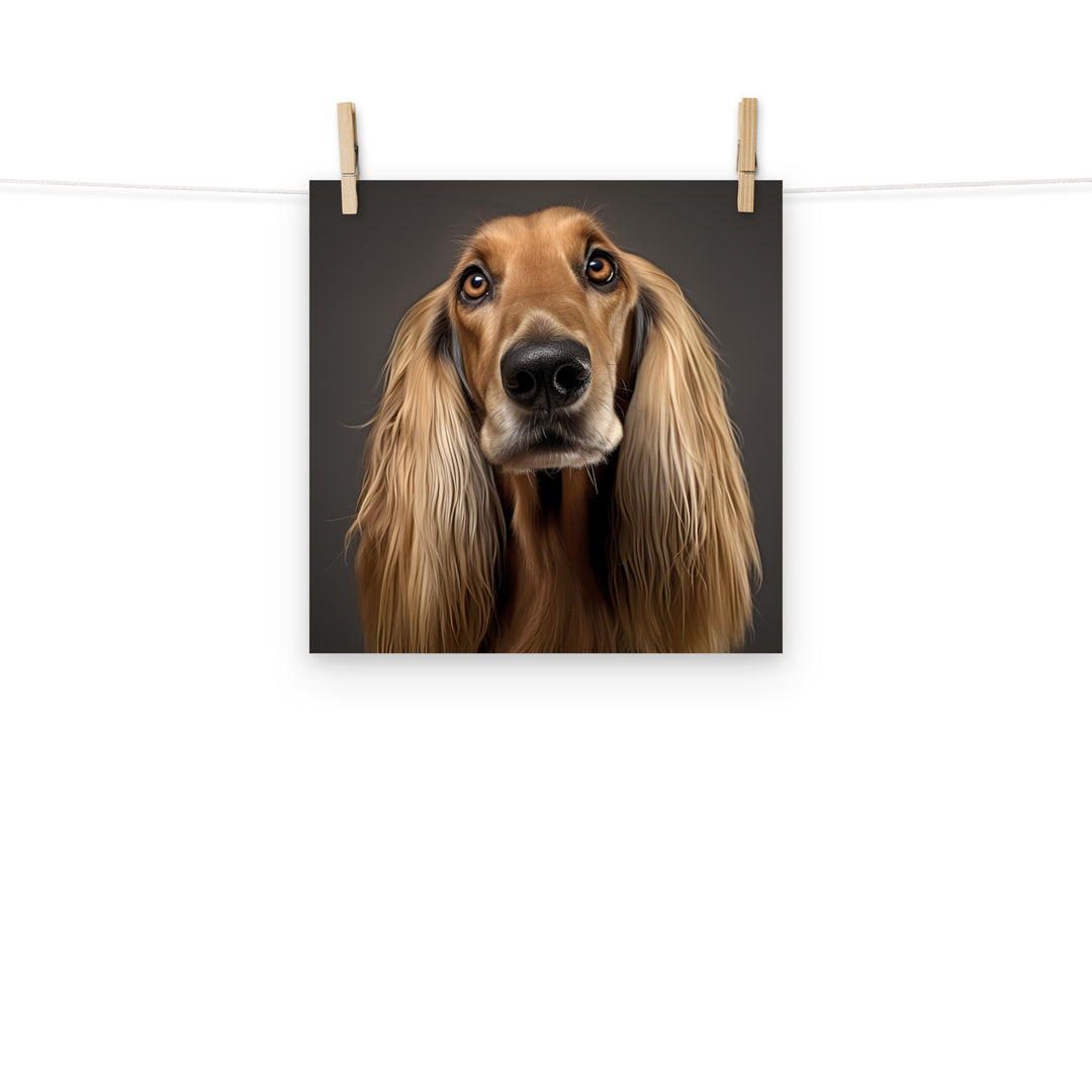 Afghan Hound Photo paper poster - PosterfyAI.com