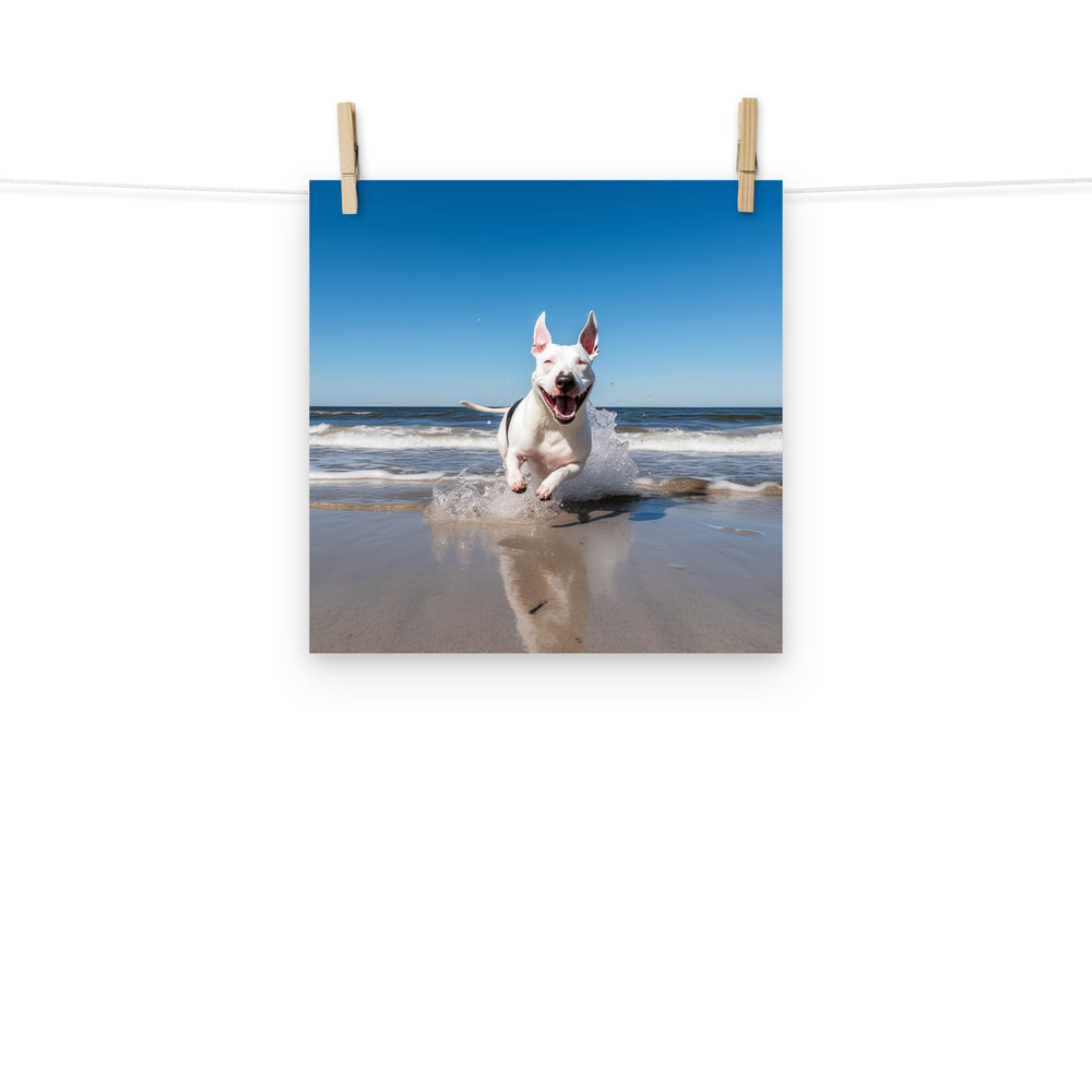 Bull Terrier Photo paper poster - PosterfyAI.com