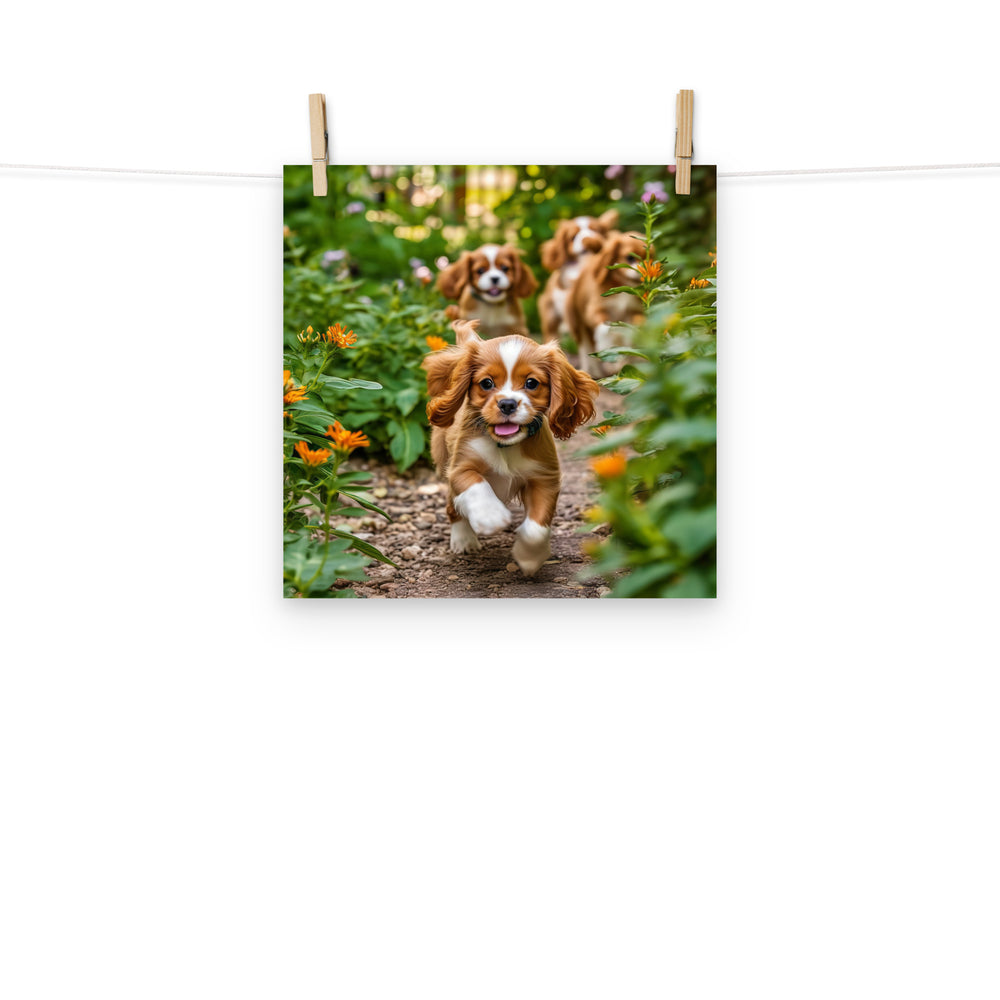 Cavalier King Charles Photo paper poster - PosterfyAI.com