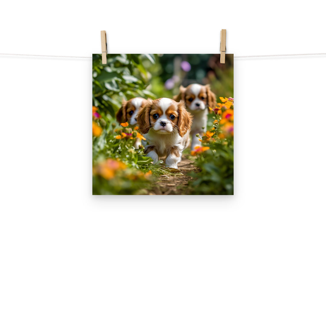 Cavalier King Charles Photo paper poster - PosterfyAI.com