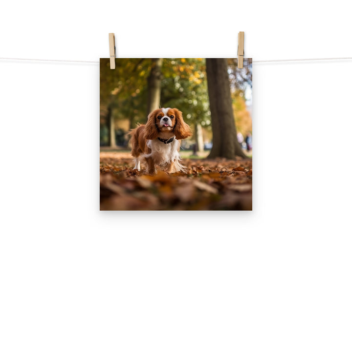 Cavalier King Charles Photo paper poster - PosterfyAI.com