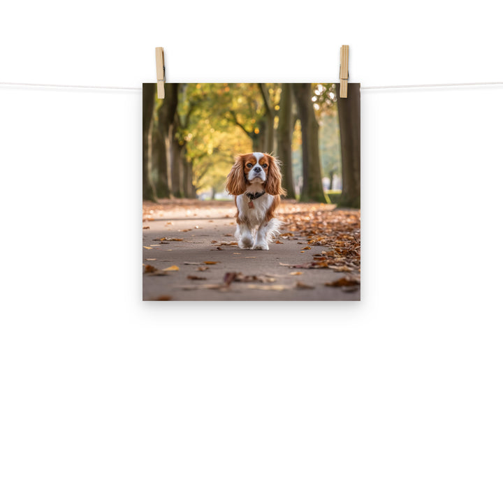 Cavalier King Charles Photo paper poster - PosterfyAI.com