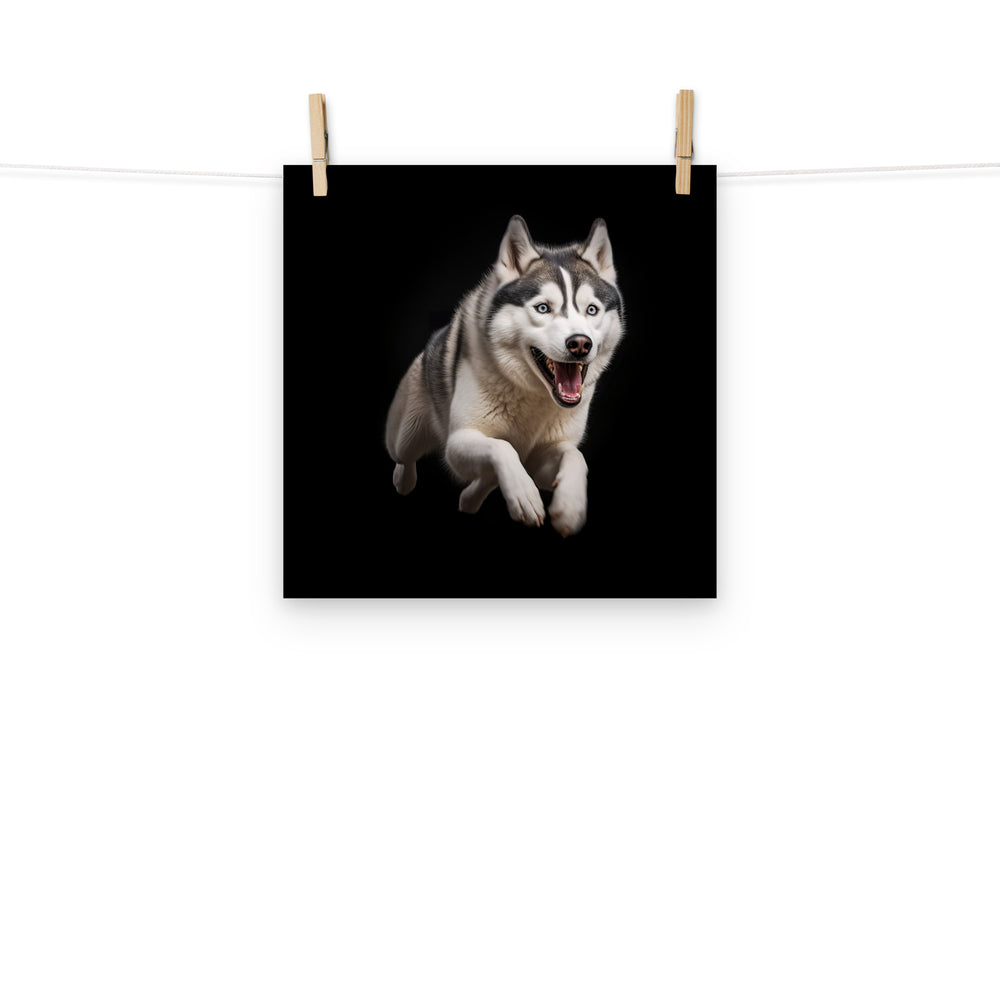 Siberian Husky Photo paper poster - PosterfyAI.com