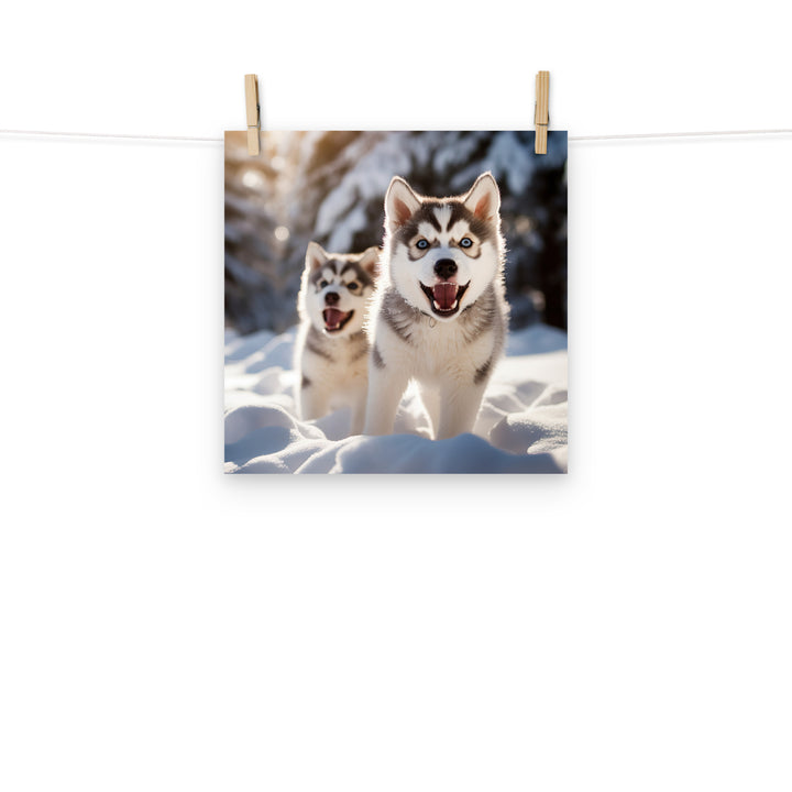 Siberian Husky Photo paper poster - PosterfyAI.com