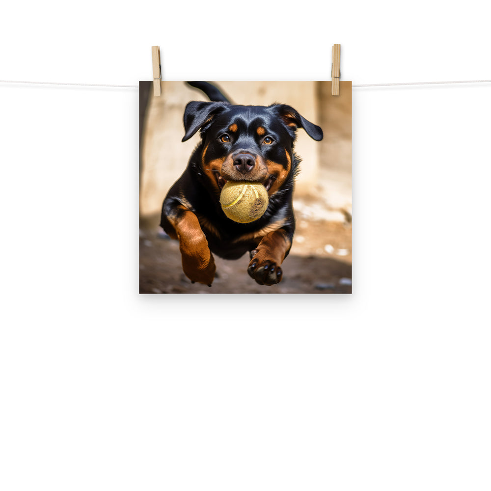 Rottweiler Photo paper poster - PosterfyAI.com