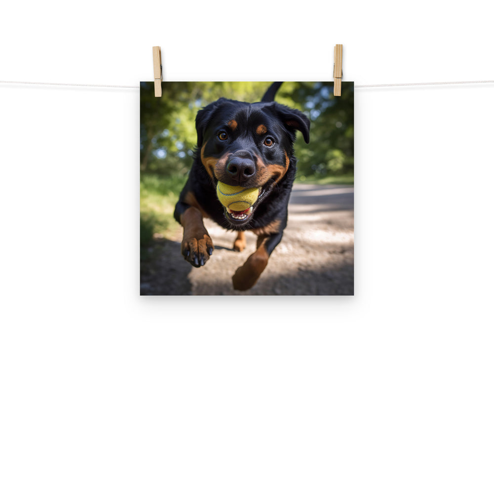 Rottweiler Photo paper poster - PosterfyAI.com