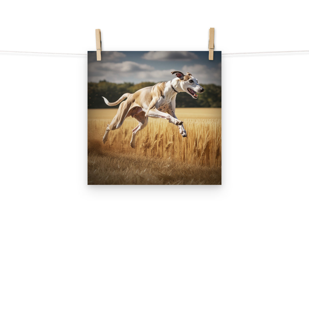 Whippet Photo paper poster - PosterfyAI.com