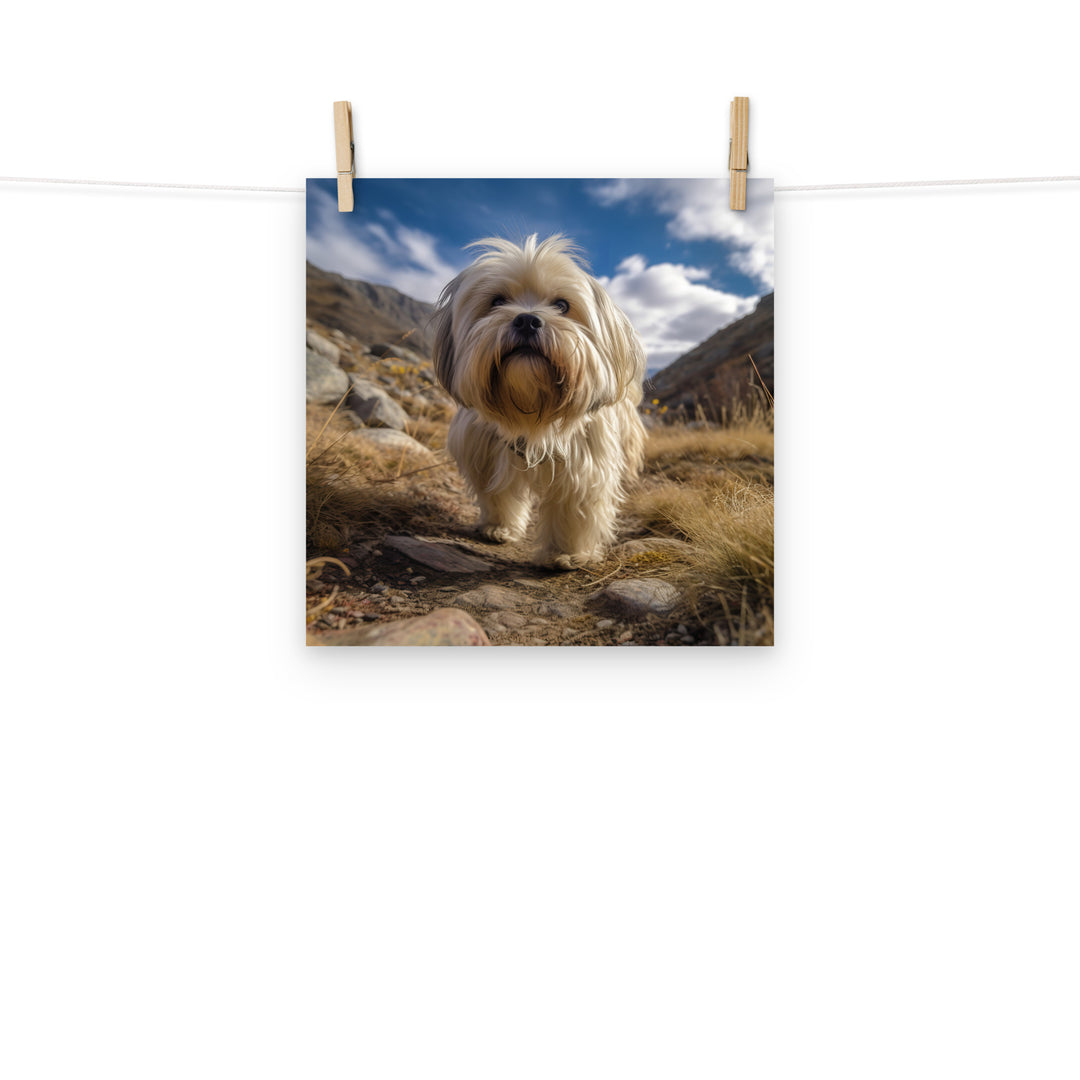 Lhasa Apso Photo paper poster - PosterfyAI.com