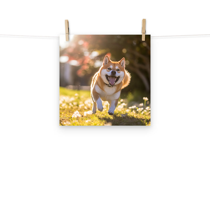 Shiba Inu Photo paper poster - PosterfyAI.com