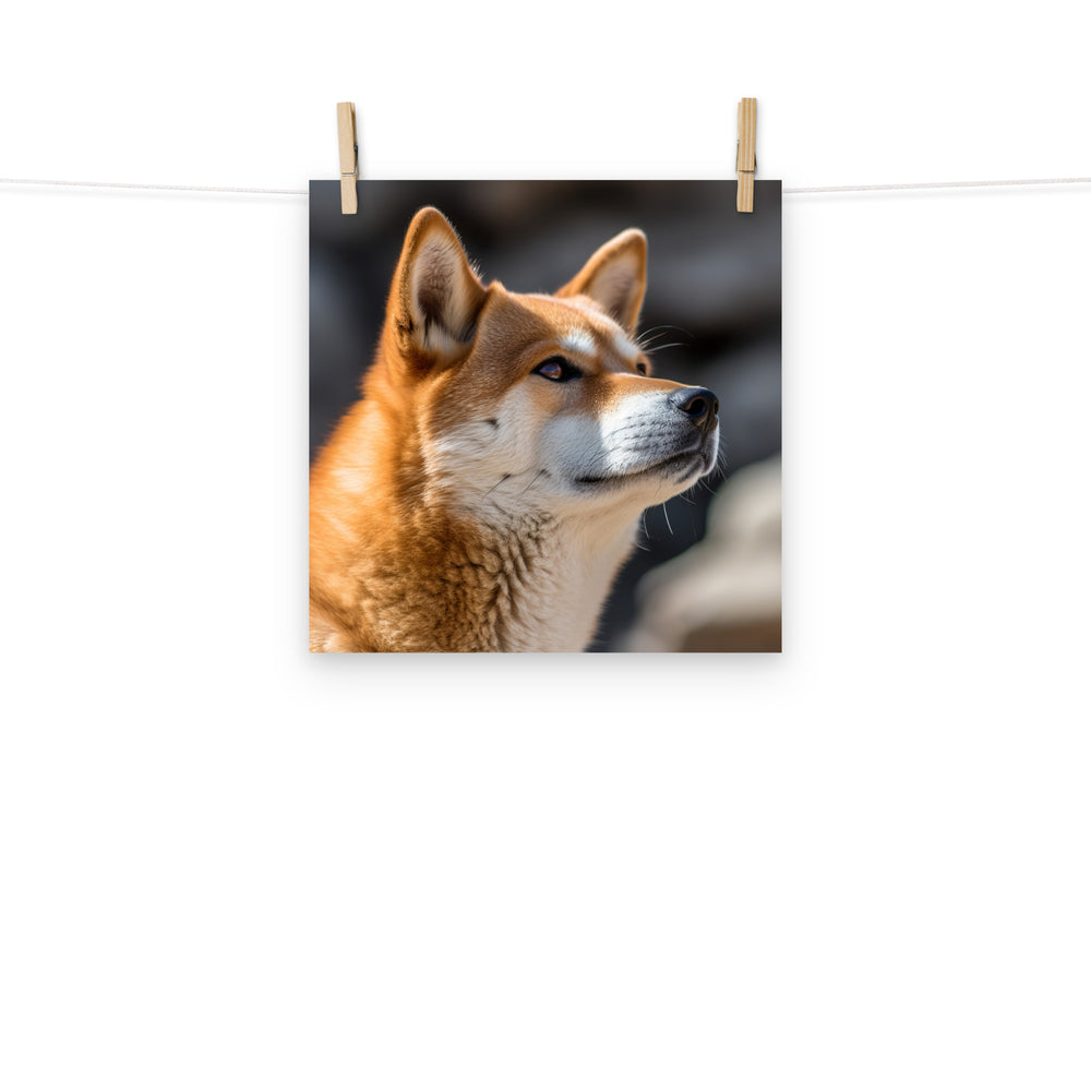 Shiba Inu Photo paper poster - PosterfyAI.com